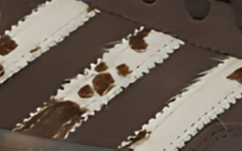 Adidas dévoile de nouvelles baskets à imprimé animal : un mélange saisissant d'élégance et de tendances sauvages