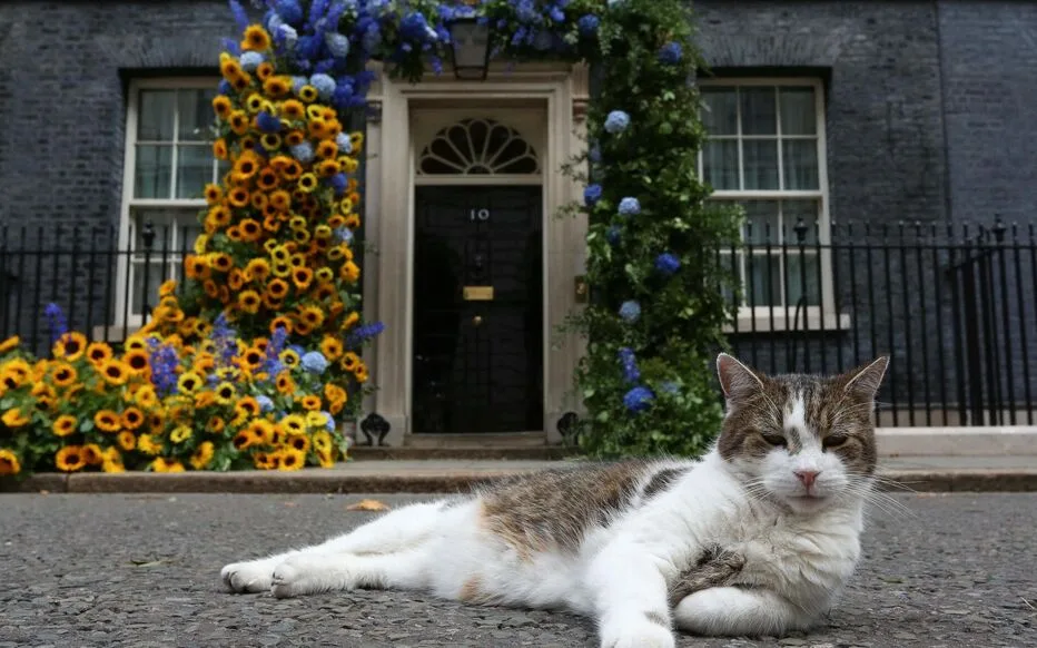 Le chat présidentiel : Larry fête ses 15 ans à Downing Street