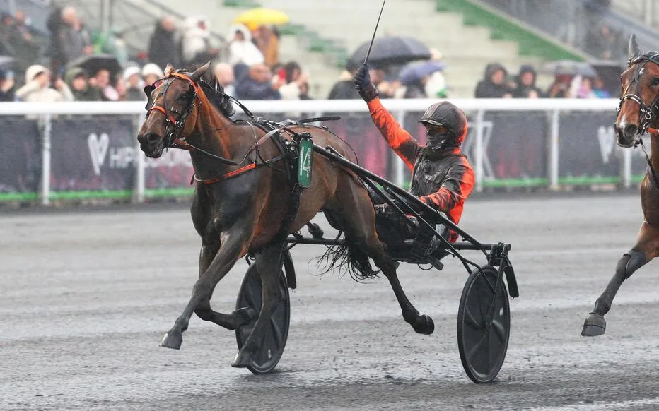 Les frères Bridault brillent dans le monde équestre français