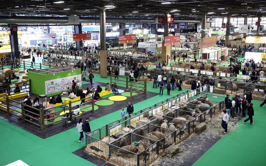 Violente altercation lors du Salon de l'Agriculture : quinze personnes interpellées