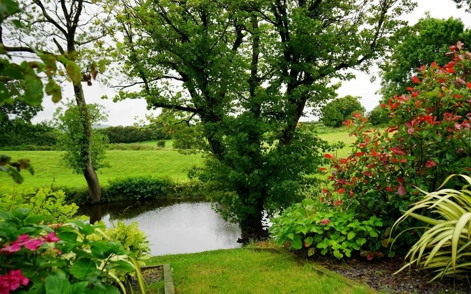 Werkapro : le récupérateur d'eau de pluie à petit budget qui fait le buzz