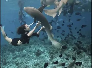 Husband's Honeymoon Shark Attack: Negligence Complaint Filed