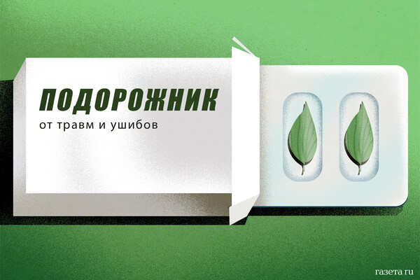 Duma backs new Ministry of Veteran Affairs to consolidate support.