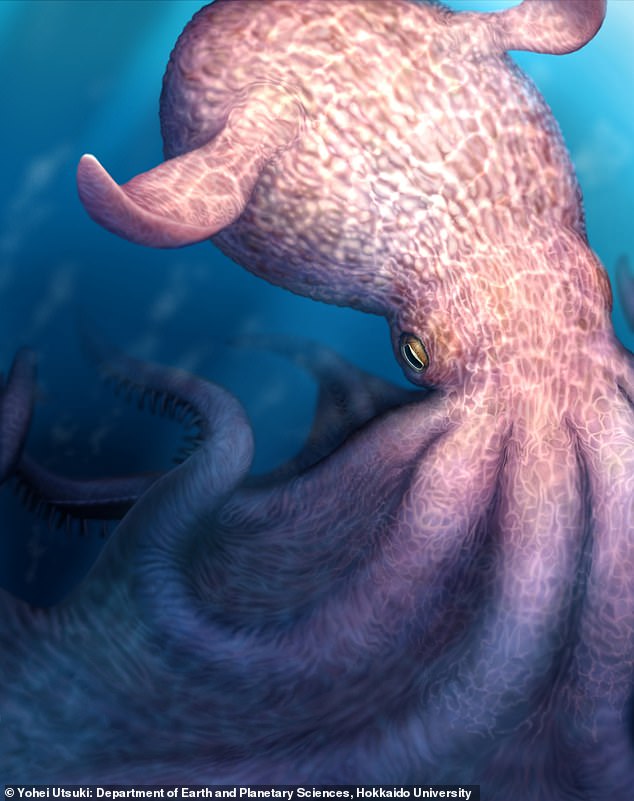 Ancient squids grew to 19 meters long, hunting alongside mosasaurs.