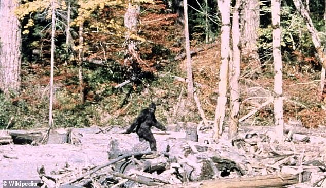 Retired Soldier Recounts Chilling Bigfoot Encounter Amid Ohio Sightings