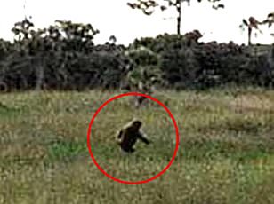 Retired Soldier Recounts Chilling Bigfoot Encounter Amid Ohio Sightings