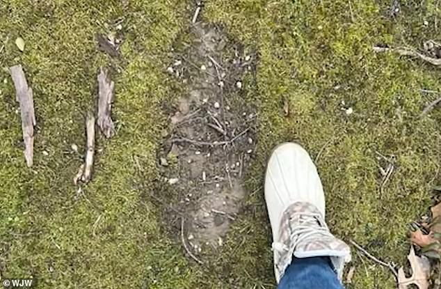 Retired Soldier Recounts Chilling Bigfoot Encounter Amid Ohio Sightings