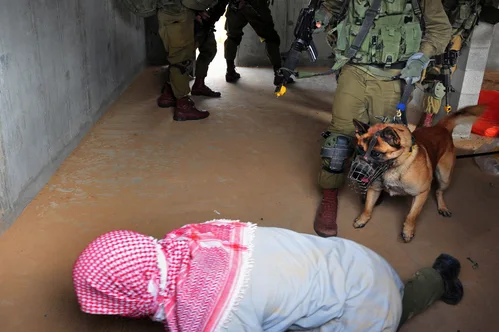 Israel expels pro-Palestinian activists after flottille interception and abuse reports.