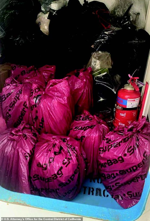 Federal Agents Seize $6.4 Million Cocaine Hidden in Pink Dior Bags