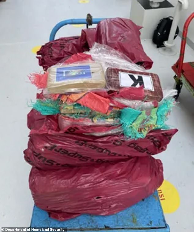 Federal Agents Seize $6.4 Million Cocaine Hidden in Pink Dior Bags