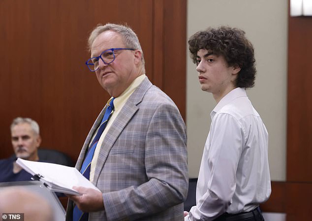 Teen plotter against 'normals' may avoid prison after meeting plea deal terms.