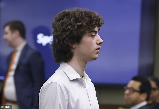 Teen plotter against 'normals' may avoid prison after meeting plea deal terms.