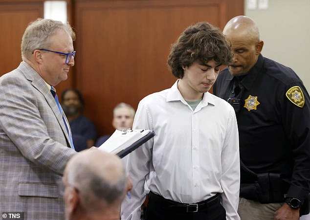 Teen plotter against 'normals' may avoid prison after meeting plea deal terms.