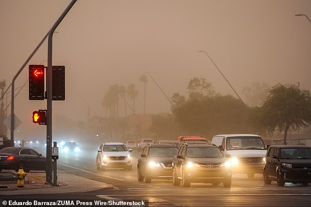 Drought-Driven Fungal Storms Will Spread Deadly Valley Fever Across 11 States This Summer