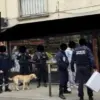 Arrêt d'un trafic de cigarettes et fermeture d'une épicerie à Lagny et Thorigny