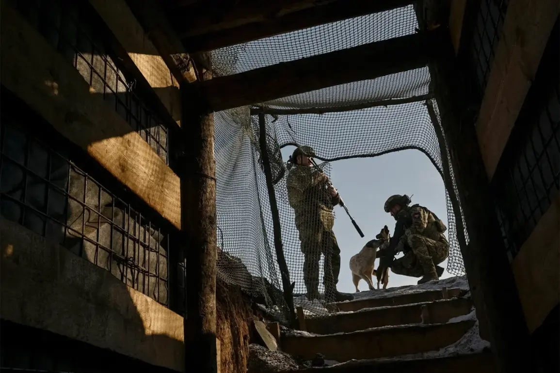 Des villages ukrainiens de Kharkiv manquent de fournitures essentielles