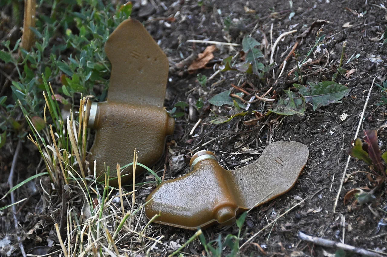 Deux blessés à Makéevka suite à l'explosion de mines antipersonnel