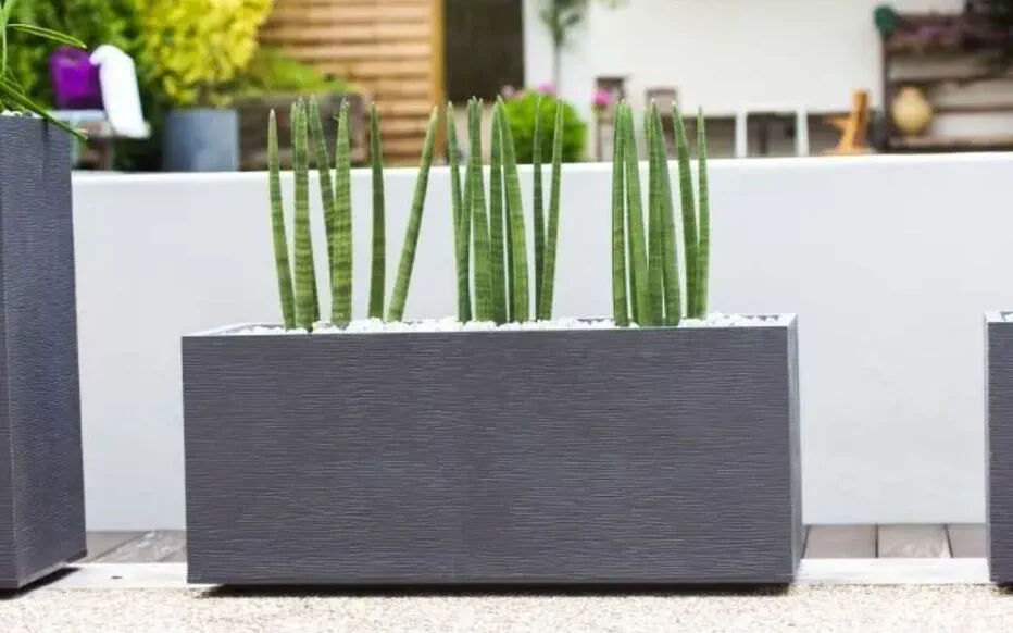 Économisez sur votre jardinière avec Cdiscount