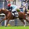 Jaguar du Berlais offre une surprise à Auteuil