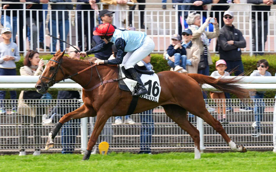 Jaguar du Berlais offre une surprise à Auteuil