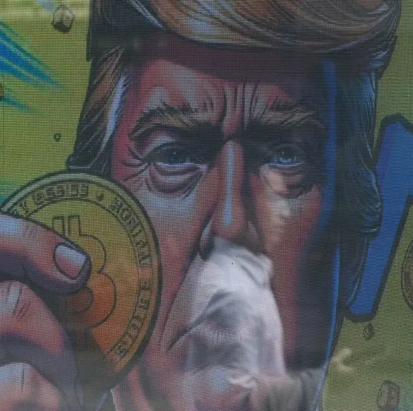 La crypto-monnaie basée sur Trump prend de la valeur après une promotion exclusive