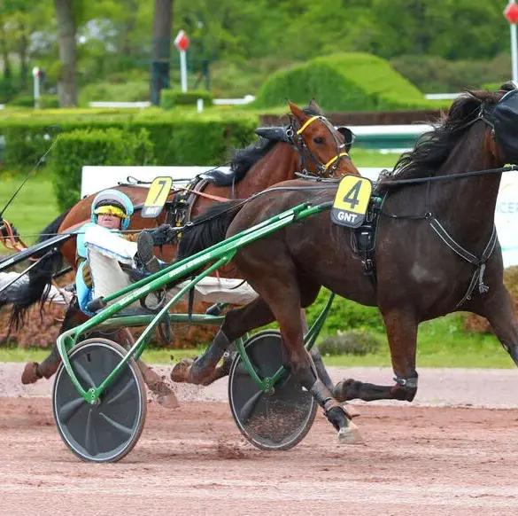 Le rêve éveillé de Je Rêve du Bois : victoire éclatante au Grand National du Trot