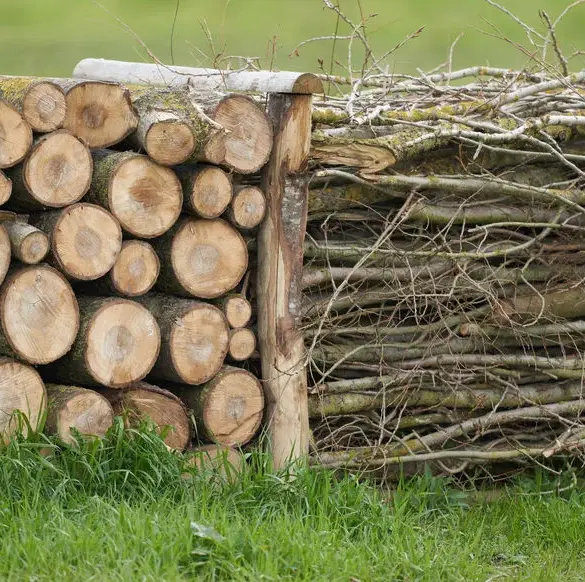 Les haies sèches : un moyen traditionnel d'enfermer le bétail et de délimiter les jardins