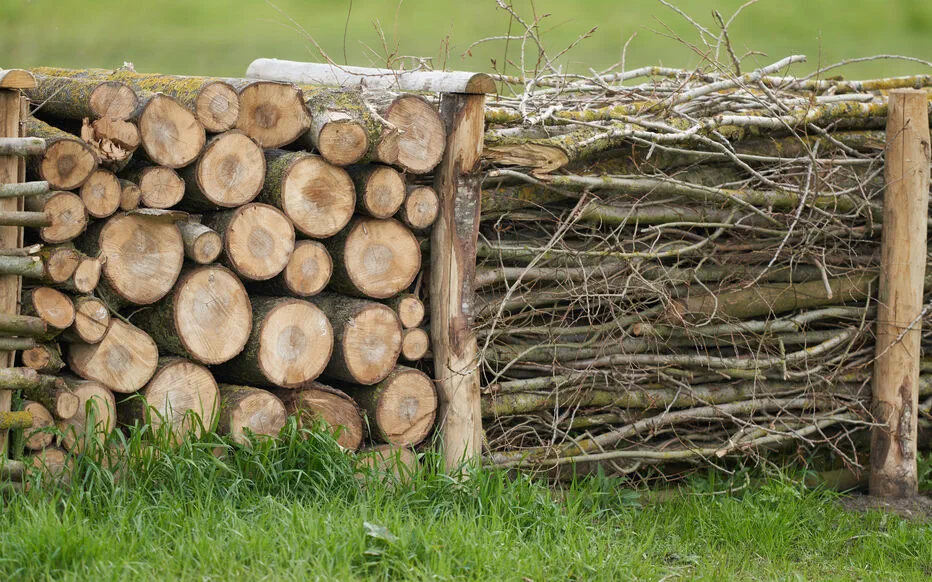 Les haies sèches : un moyen traditionnel d'enfermer le bétail et de délimiter les jardins