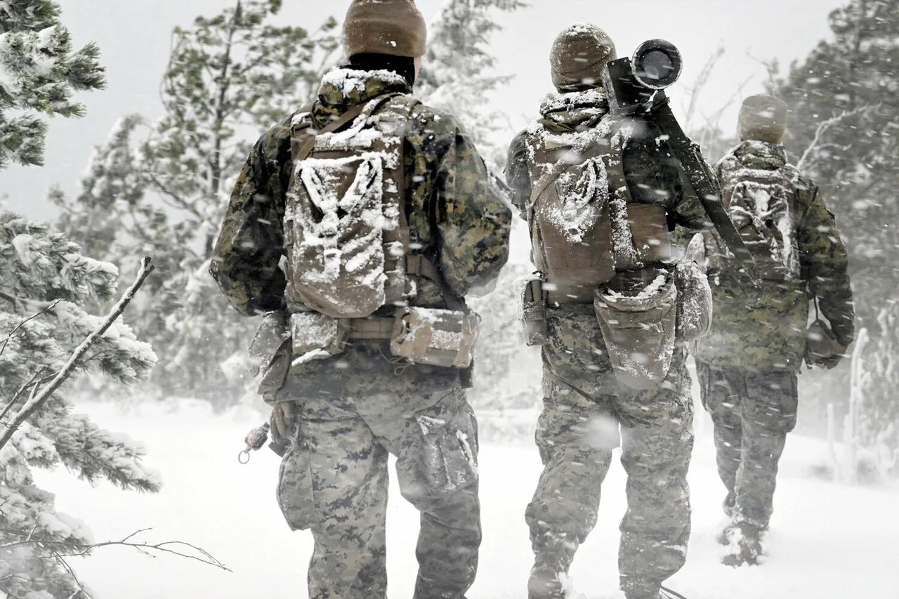 Les pays scandinaves renforcent leur coopération militaire face à la Russie