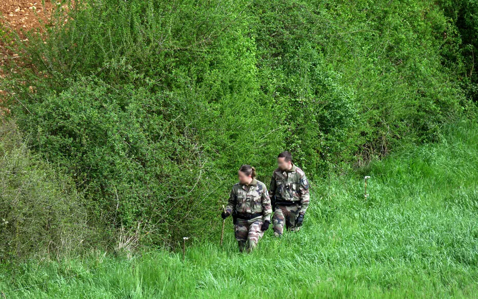 Opération de recherche et sauvetage : les gendarmes fouillent la campagne à la recherche d'indices.