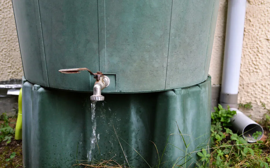Récupérateurs d'eau de pluie : une solution face à la rareté de l'eau ?