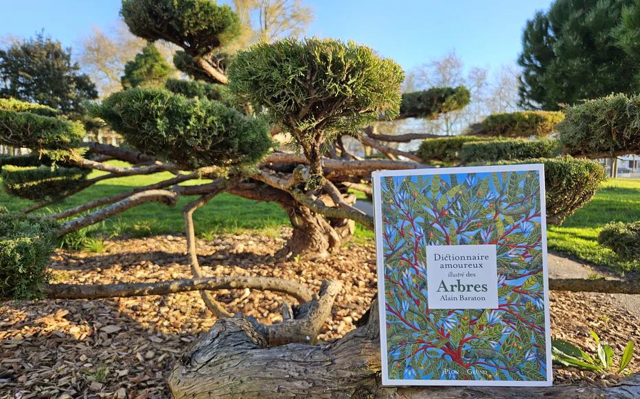 Un dictionnaire amoureux des arbres