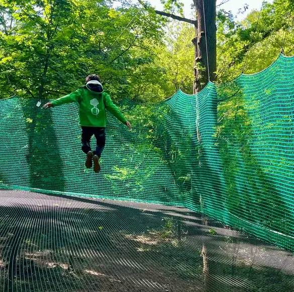 Ecopark Legends : un nouveau parc d'aventures suspendu dans les arbres à Sucy-en-Brie