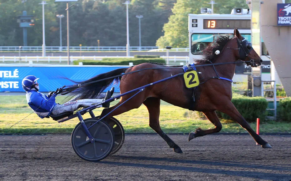 Hamigo domine le Prix Léo