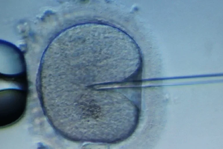 Choisir les caractéristiques de son enfant : une réalité américaine ?