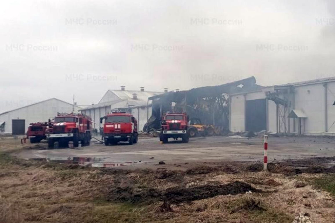 Drone Incident in Bryansk : Unemployé de Miratorg blessé