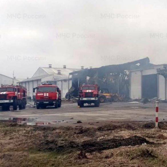 Drone Incident in Bryansk : Unemployé de Miratorg blessé