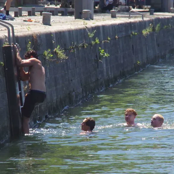 Nage interdite : des Britanniques s'aventurent dans la Seine malgré les risques