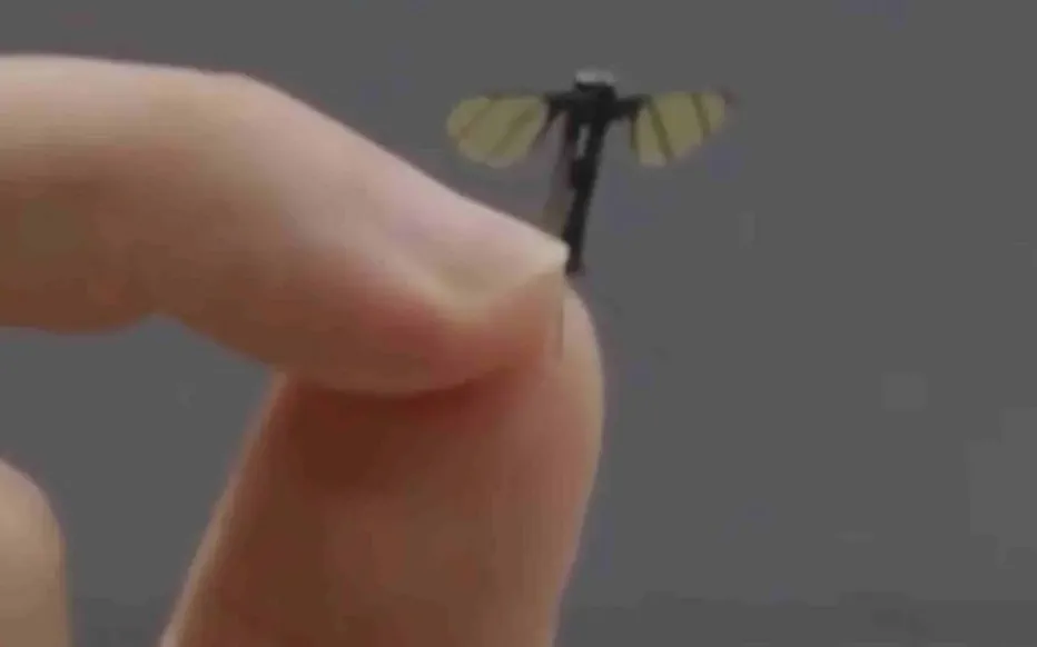 Un micro-drone chinois, un atout précieux pour les opérations de renseignement