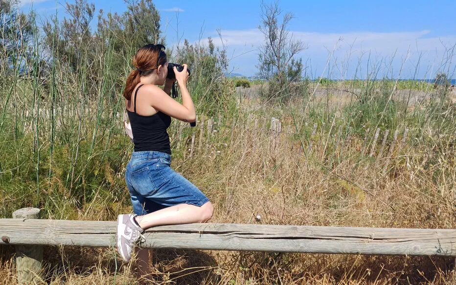 Une jeune détective à la recherche du renard