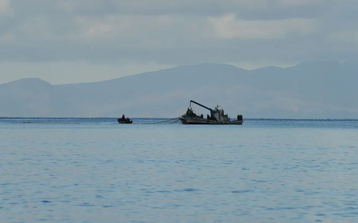 Attaque contre un navire au Yémen : l'équipage réagit rapidement