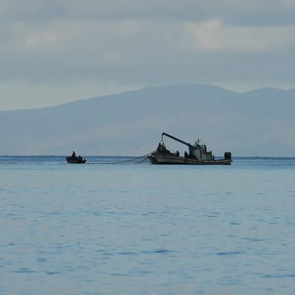 Attaque contre un navire au Yémen : l'équipage réagit rapidement