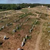 Carnac et le Morbihan : un héritage culturel breton reconnu au patrimoine mondial