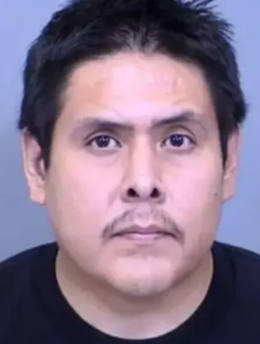 Chauve-souris : quatre enfants sauvés d'une mort certaine grâce à une intervention rapide