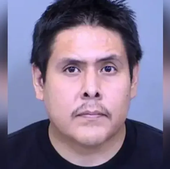 Chauve-souris : quatre enfants sauvés d'une mort certaine grâce à une intervention rapide