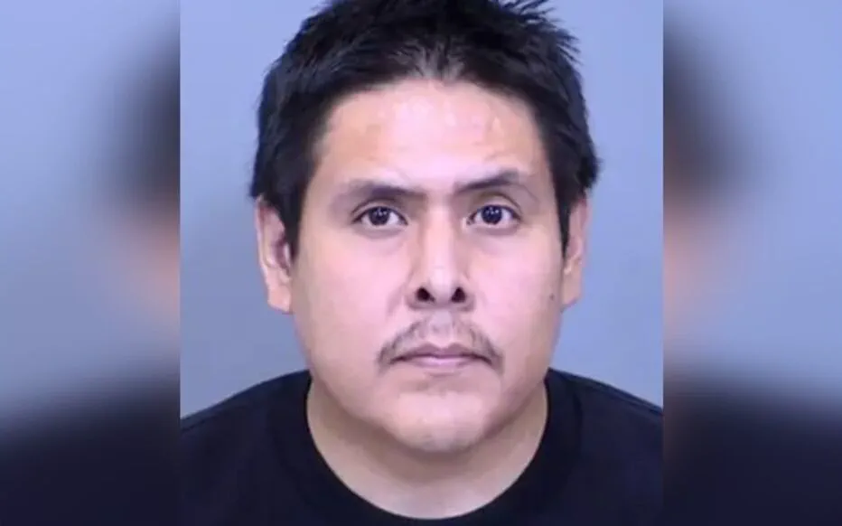 Chauve-souris : quatre enfants sauvés d'une mort certaine grâce à une intervention rapide