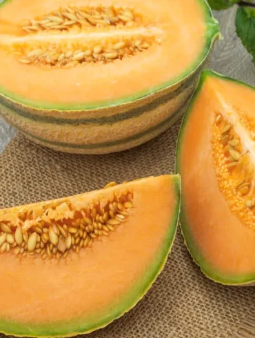 Comment choisir les meilleurs melons pour un été savoureux