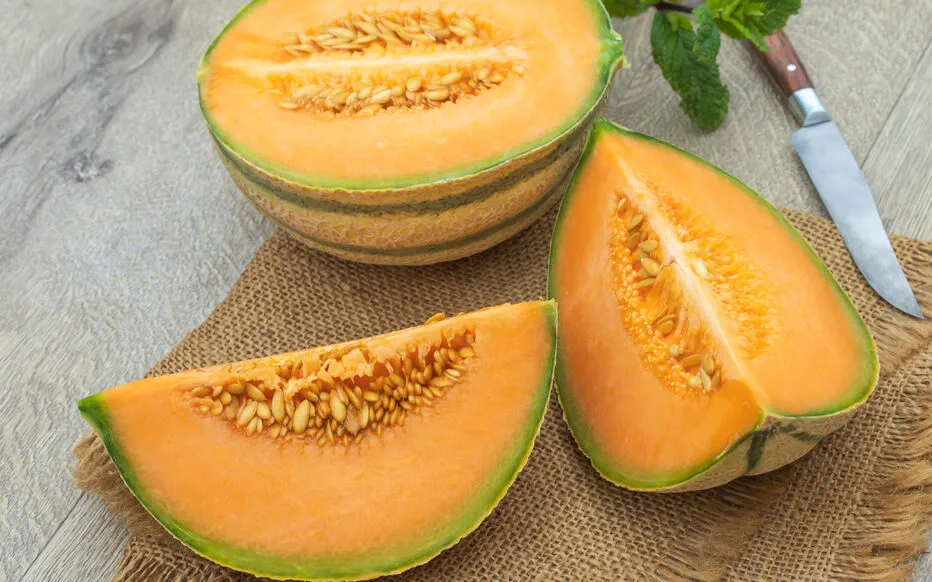 Comment choisir les meilleurs melons pour un été savoureux
