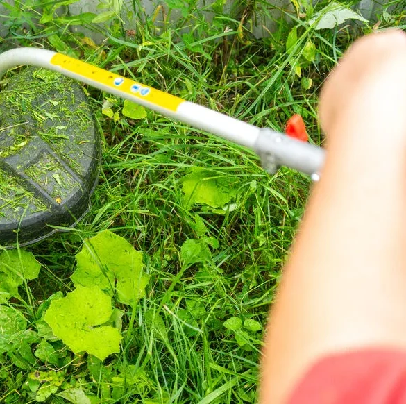 Débroussaillage : une mesure obligatoire pour lutter contre les feux de forêt en France