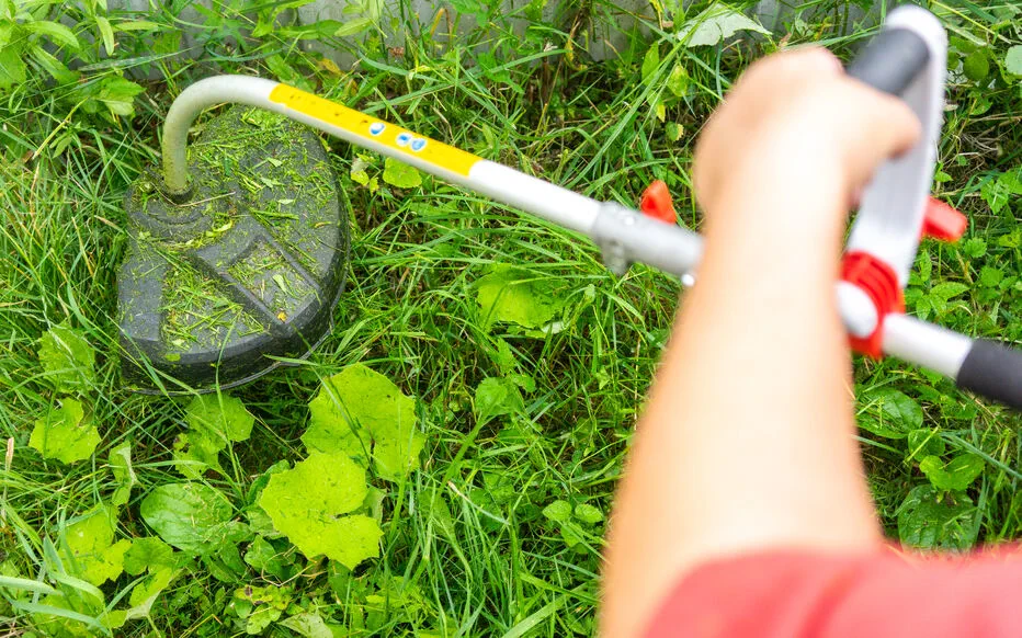 Débroussaillage : une mesure obligatoire pour lutter contre les feux de forêt en France
